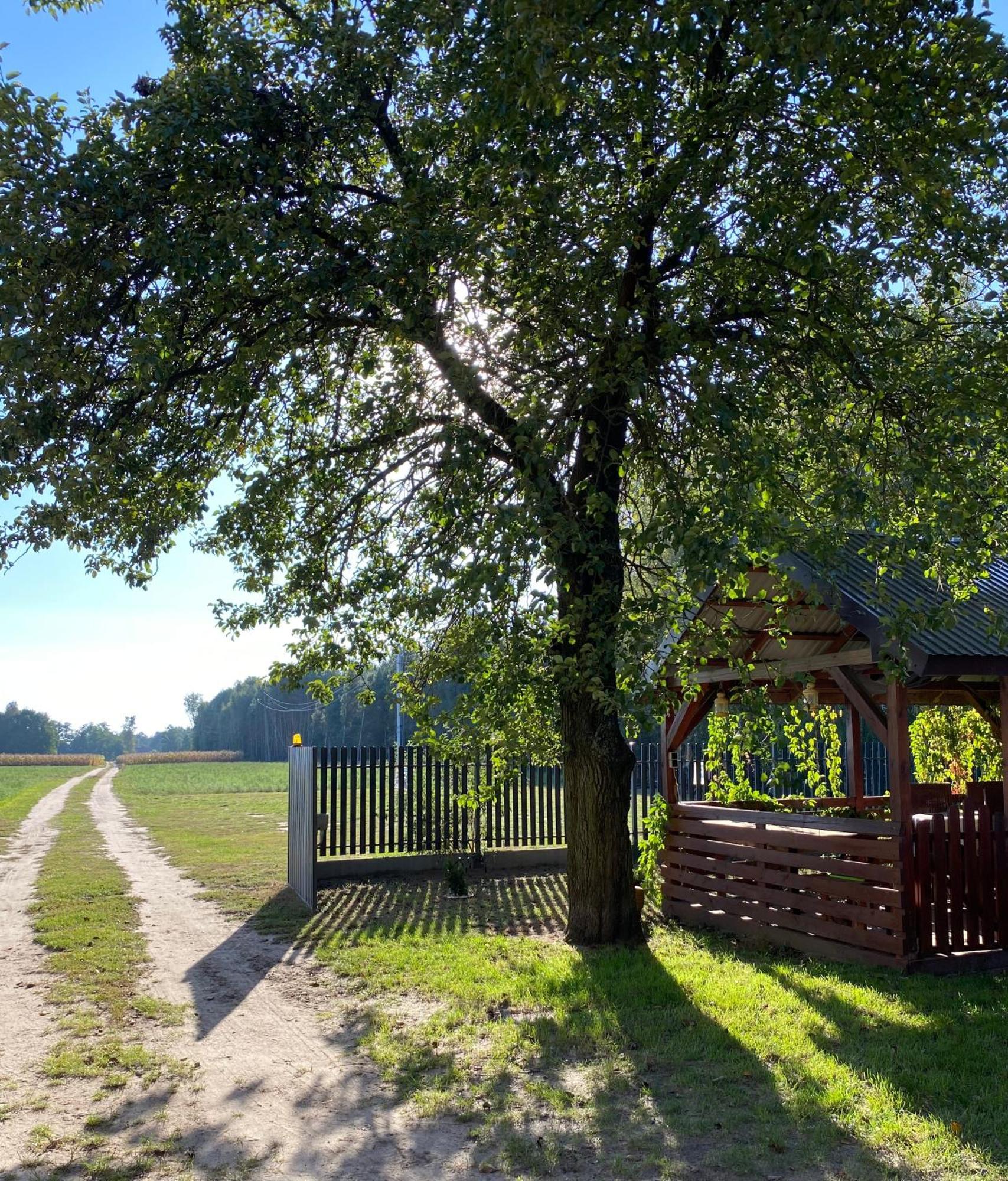 Maciejówka Gospodarstwo Agroturystyczne Poddebice Exterior foto