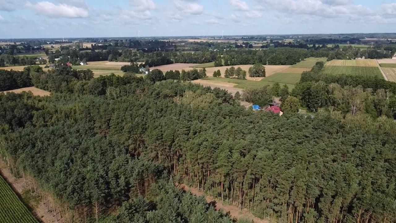 Maciejówka Gospodarstwo Agroturystyczne Poddebice Exterior foto