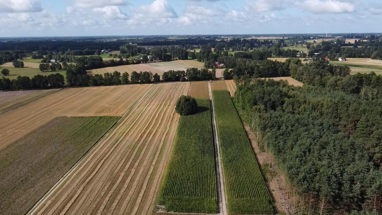 Maciejówka Gospodarstwo Agroturystyczne Poddebice Exterior foto
