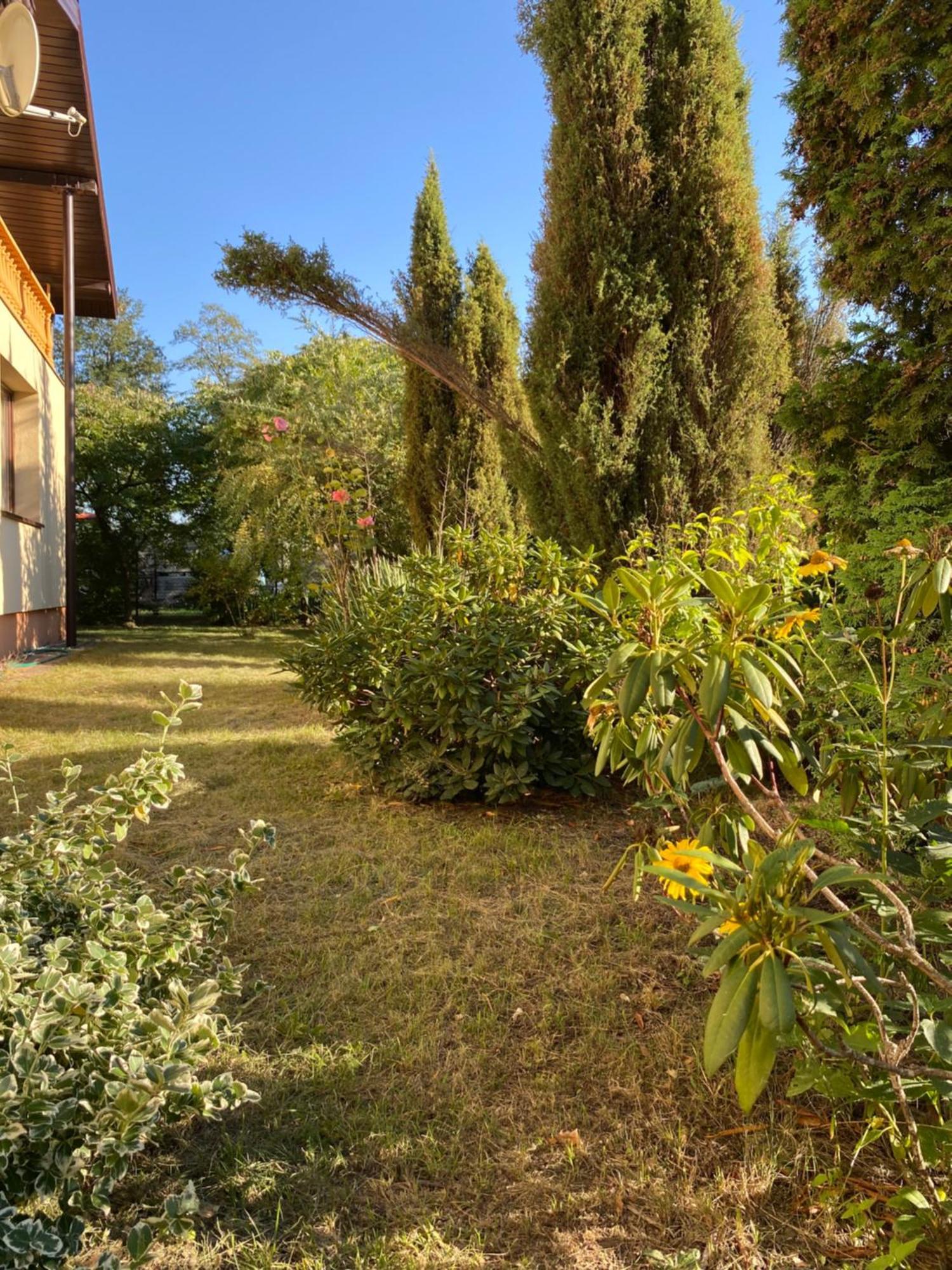 Maciejówka Gospodarstwo Agroturystyczne Poddebice Exterior foto